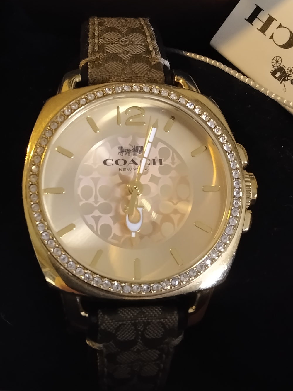 Coach Women's Gold-Tone Crystal Bezel Watch with Signature Brown Strap